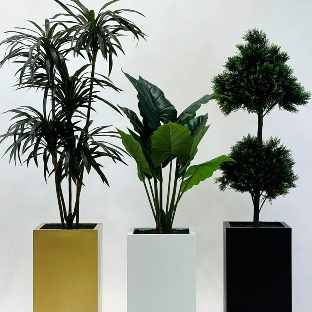 bac-pour-plantes-d'interieur-avec-plantes bac-pour-plantes-intérieur-avec-plantes